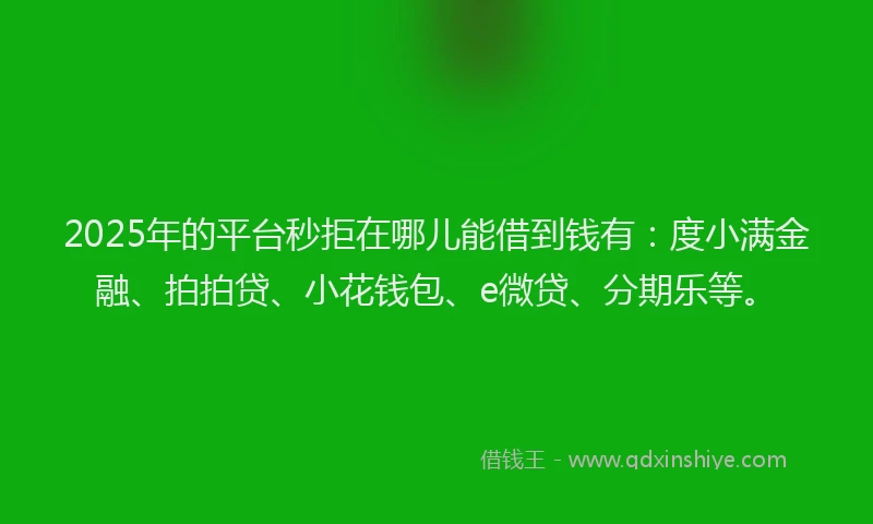 2025年的平台秒拒在哪儿能借到钱有:度小满金融、拍拍贷、小花钱包、e微贷、分期乐等。