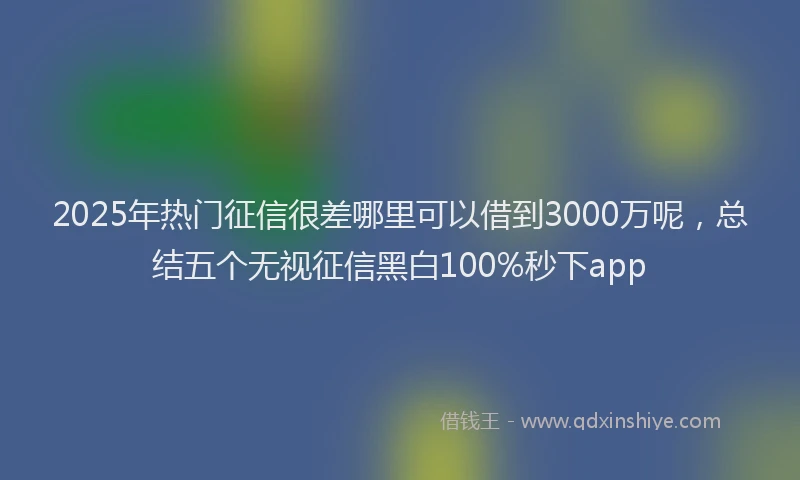 2025年热门征信很差哪里可以借到3000万呢，总结五个无视征信黑白100%秒下app