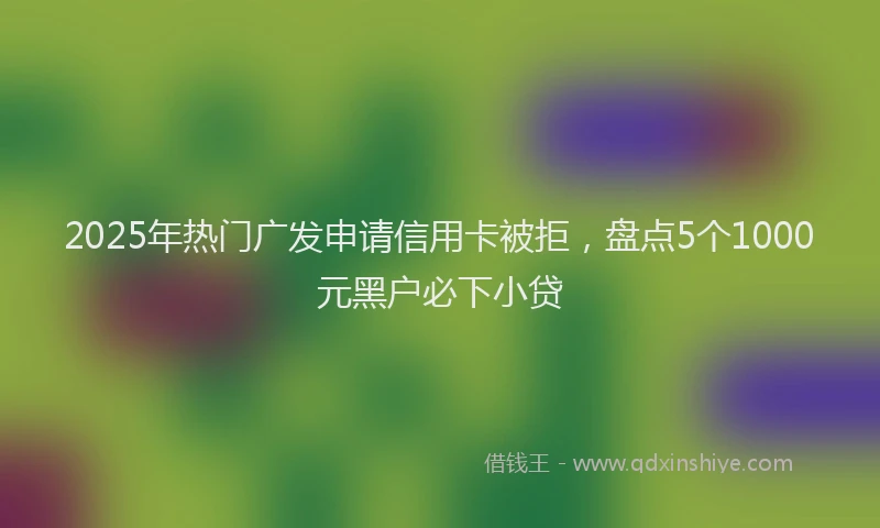 2025年热门广发申请信用卡被拒，盘点5个1000元黑户必下小贷