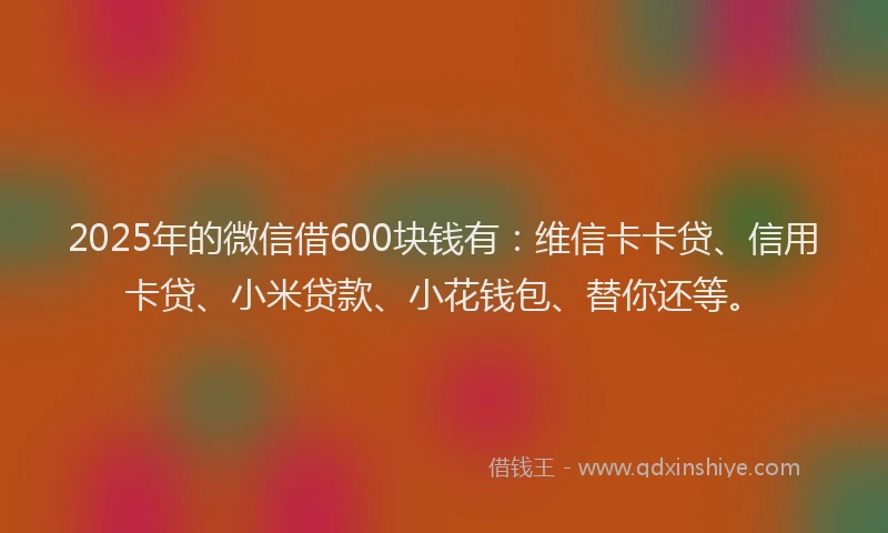 2025年的微信借600块钱有：维信卡卡贷、信用卡贷、小米贷款、小花钱包、替你还等。