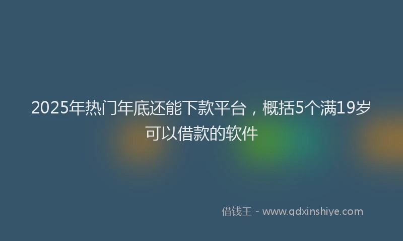 2025年热门年底还能下款平台，概括5个满19岁可以借款的软件