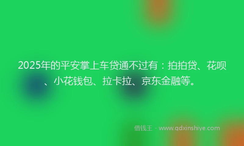 2025年的平安掌上车贷通不过有：拍拍贷、花呗、小花钱包、拉卡拉、京东金融等。