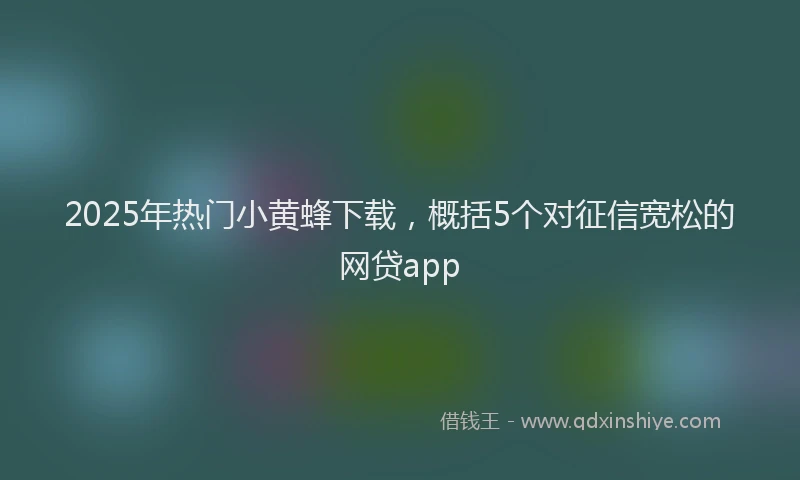2025年热门小黄蜂下载，概括5个对征信宽松的网贷app
