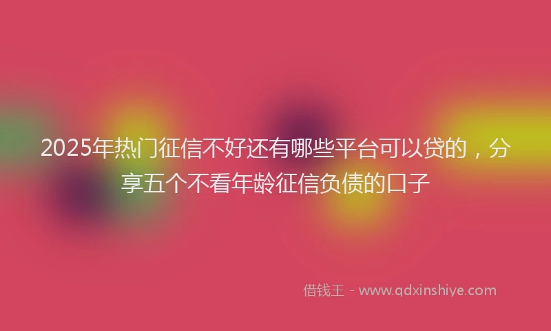 2025年热门征信不好还有哪些平台可以贷的，分享五个不看年龄征信负债的口子