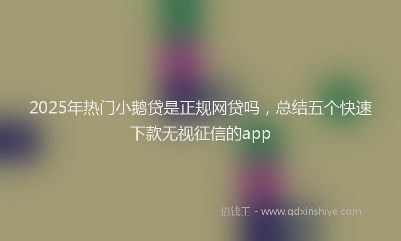 2025年热门小鹅贷是正规网贷吗，总结五个快速下款无视征信的app