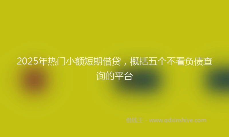 2025年热门小额短期借贷，概括五个不看负债查询的平台