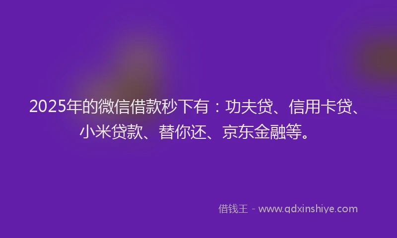 2025年的微信借款秒下有：功夫贷、信用卡贷、小米贷款、替你还、京东金融等。