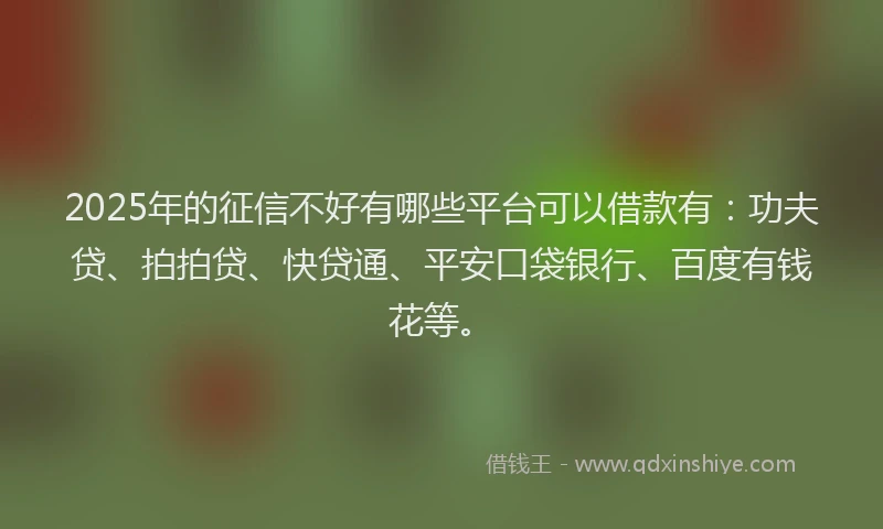 2025年的征信不好有哪些平台可以借款有：功夫贷、拍拍贷、快贷通、平安口袋银行、百度有钱花等。