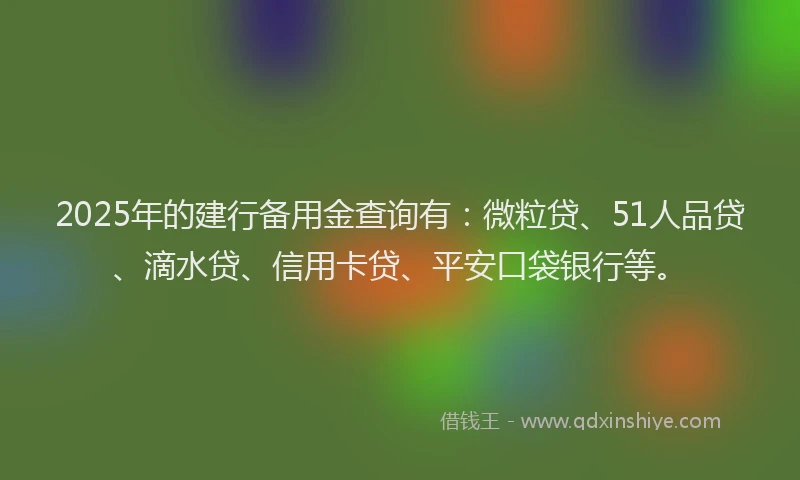 2025年的建行备用金查询有：微粒贷、51人品贷、滴水贷、信用卡贷、平安口袋银行等。
