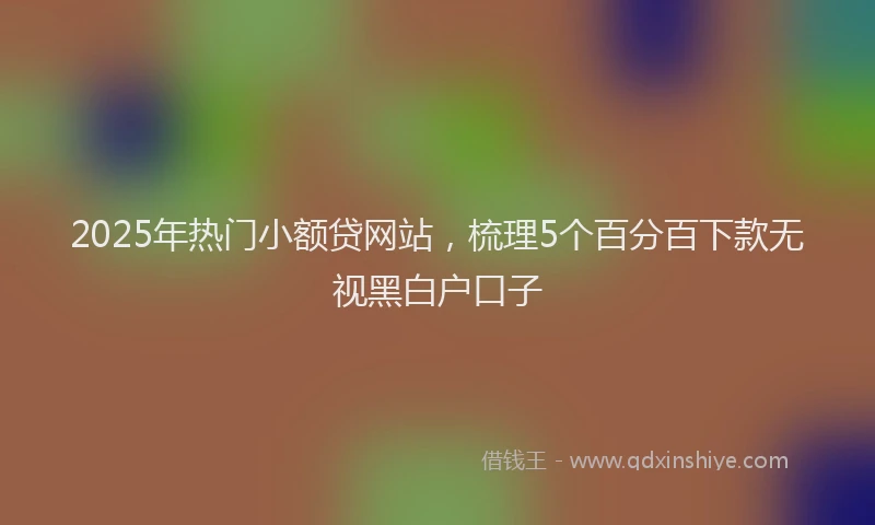2025年热门小额贷网站，梳理5个百分百下款无视黑白户口子