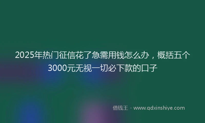 2025年热门征信花了急需用钱怎么办，概括五个3000元无视一切必下款的口子