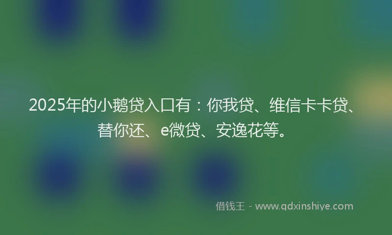 2025年的小鹅贷入口有：你我贷、维信卡卡贷、替你还、e微贷、安逸花等。