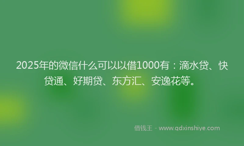 2025年的微信什么可以以借1000有：滴水贷、快贷通、好期贷、东方汇、安逸花等。