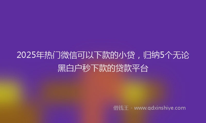 2025年热门微信可以下款的小贷，归纳5个无论黑白户秒下款的贷款平台