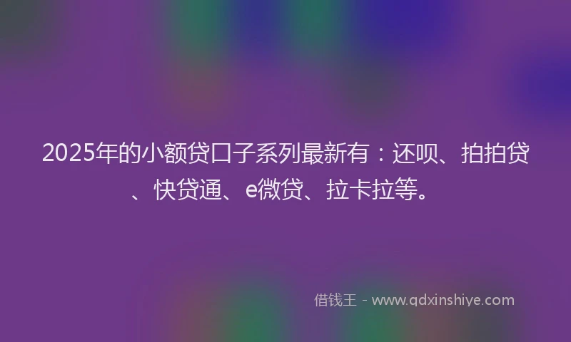 2025年的小额贷口子系列最新有：还呗、拍拍贷、快贷通、e微贷、拉卡拉等。