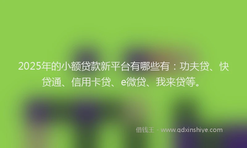 2025年的小额贷款新平台有哪些有：功夫贷、快贷通、信用卡贷、e微贷、我来贷等。