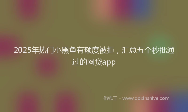 2025年热门小黑鱼有额度被拒，汇总五个秒批通过的网贷app