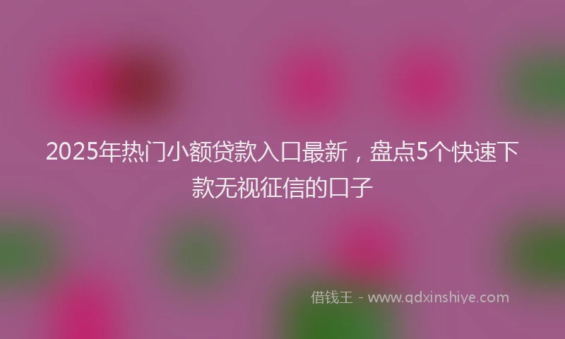 2025年热门小额贷款入口最新，盘点5个快速下款无视征信的口子