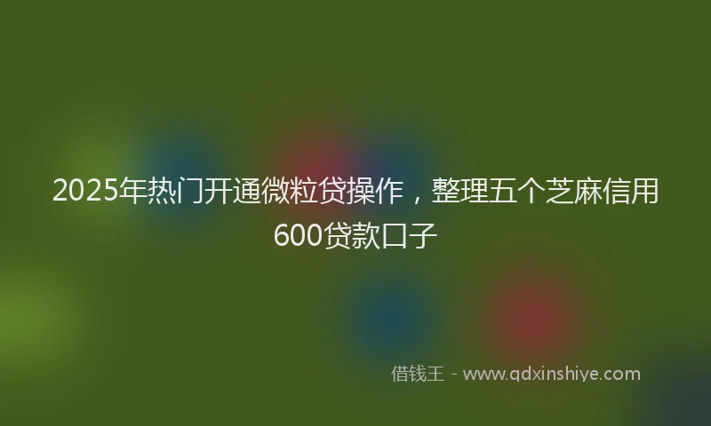 2025年热门开通微粒贷操作，整理五个芝麻信用600贷款口子
