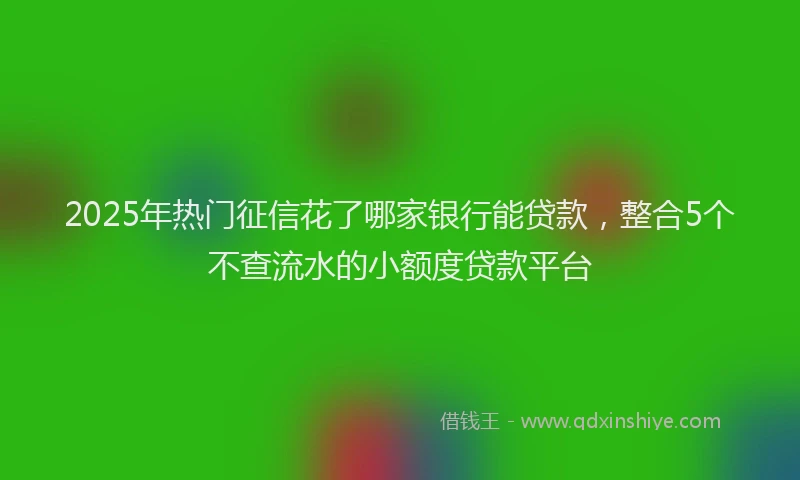 2025年热门征信花了哪家银行能贷款，整合5个不查流水的小额度贷款平台
