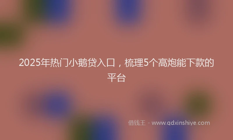 2025年热门小鹅贷入口，梳理5个高炮能下款的平台