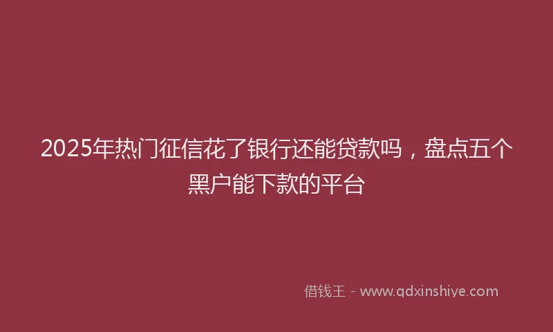 2025年热门征信花了银行还能贷款吗，盘点五个黑户能下款的平台