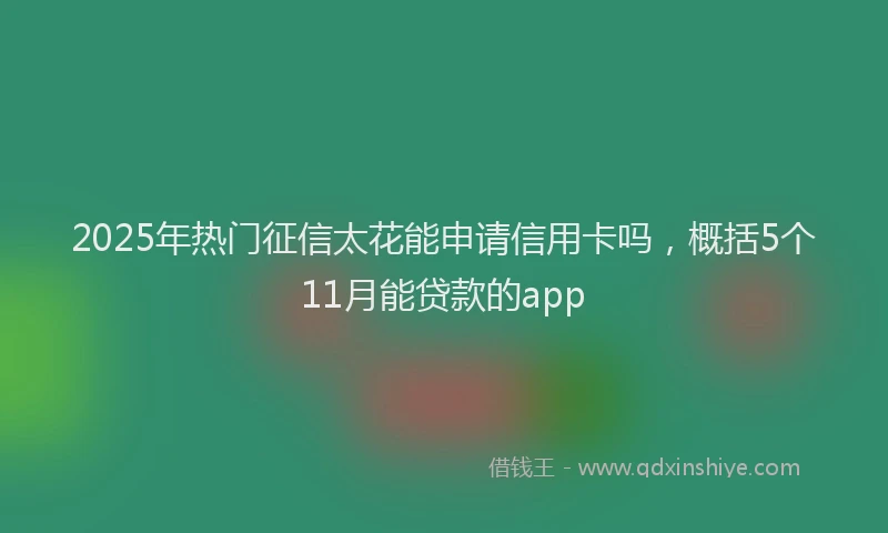 2025年热门征信太花能申请信用卡吗，概括5个11月能贷款的app