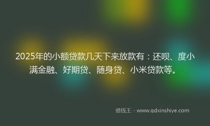 2025年的小额贷款几天下来放款有：还呗、度小满金融、好期贷、随身贷、小米贷款等。