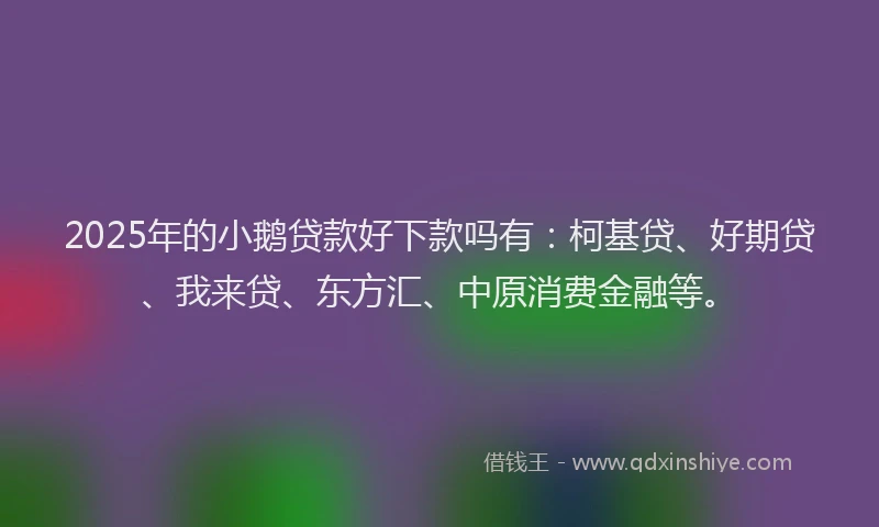 2025年的小鹅贷款好下款吗有：柯基贷、好期贷、我来贷、东方汇、中原消费金融等。