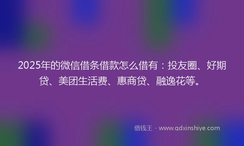 2025年的微信借条借款怎么借有：投友圈、好期贷、美团生活费、惠商贷、融逸花等。