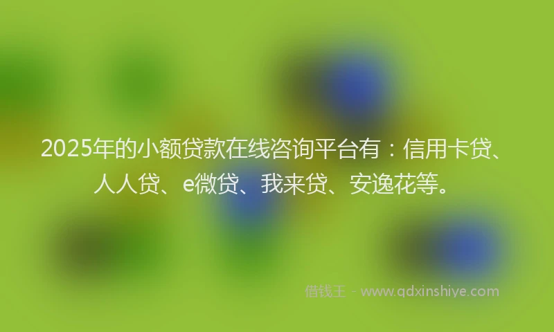 2025年的小额贷款在线咨询平台有：信用卡贷、人人贷、e微贷、我来贷、安逸花等。