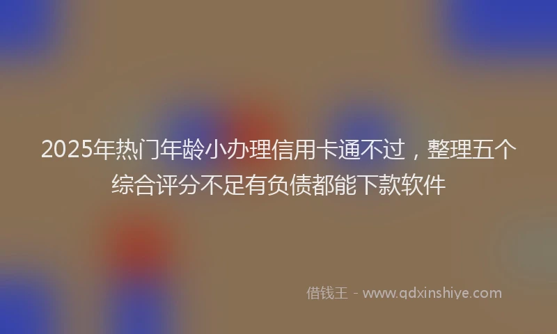 2025年热门年龄小办理信用卡通不过，整理五个综合评分不足有负债都能下款软件
