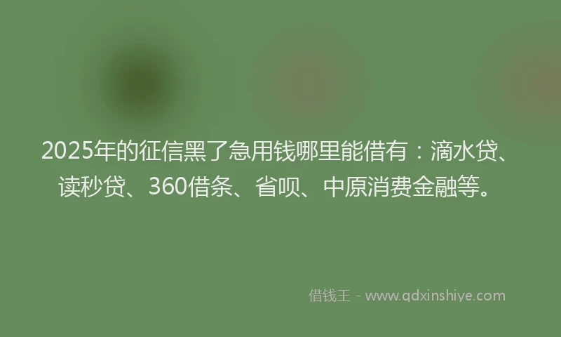 2025年的征信黑了急用钱哪里能借有：滴水贷、读秒贷、360借条、省呗、中原消费金融等。