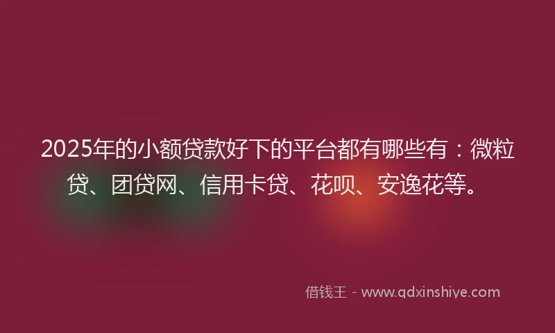 2025年的小额贷款好下的平台都有哪些有：微粒贷、团贷网、信用卡贷、花呗、安逸花等。