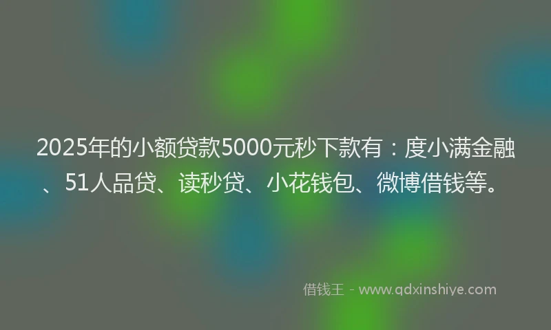 2025年的小额贷款5000元秒下款有：度小满金融、51人品贷、读秒贷、小花钱包、微博借钱等。