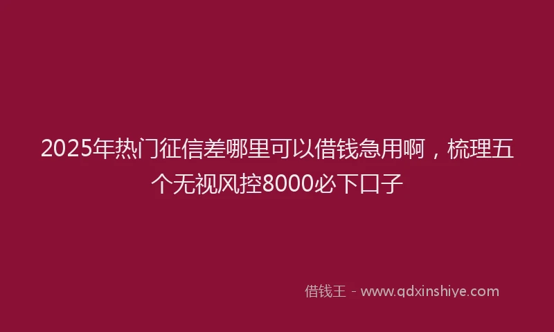 2025年热门征信差哪里可以借钱急用啊，梳理五个无视风控8000必下口子