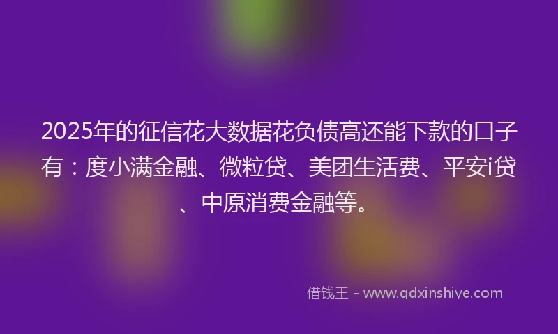 2025年的征信花大数据花负债高还能下款的口子有：度小满金融、微粒贷、美团生活费、平安i贷、中原消费金融等。
