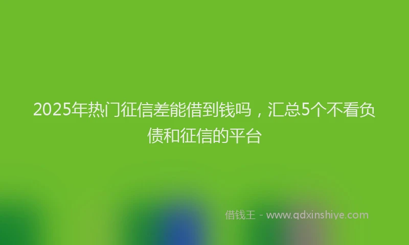 2025年热门征信差能借到钱吗，汇总5个不看负债和征信的平台