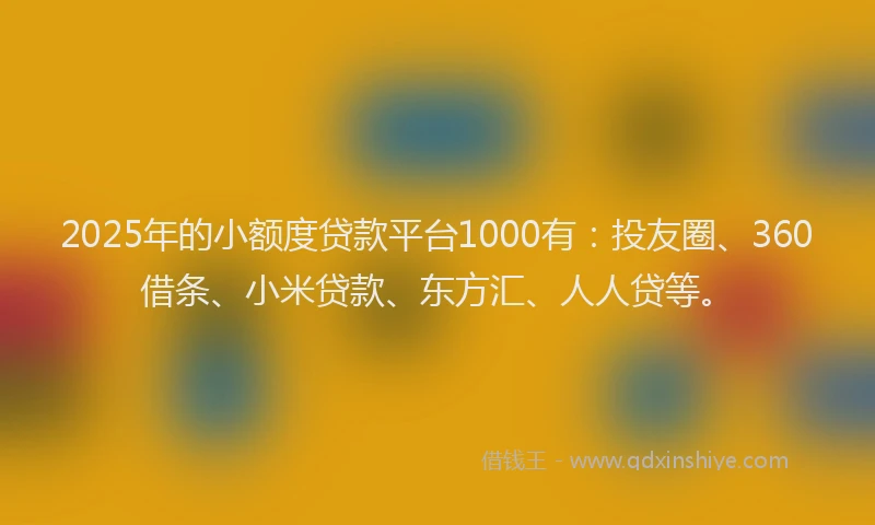 2025年的小额度贷款平台1000有：投友圈、360借条、小米贷款、东方汇、人人贷等。