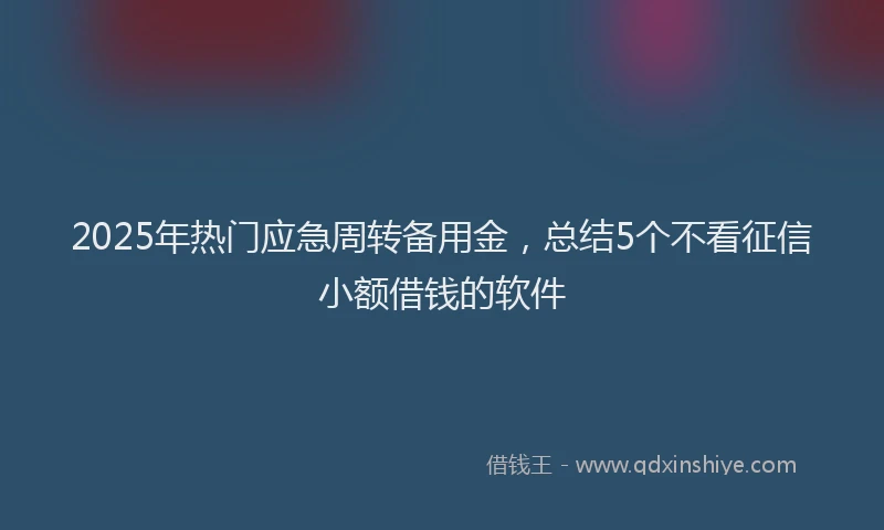 2025年热门应急周转备用金，总结5个不看征信小额借钱的软件