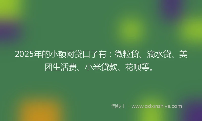 2025年的小额网贷口子有：微粒贷、滴水贷、美团生活费、小米贷款、花呗等。