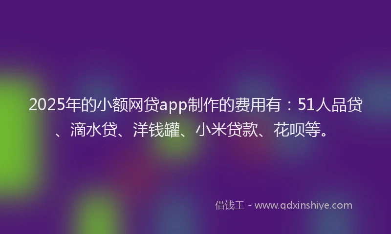2025年的小额网贷app制作的费用有：51人品贷、滴水贷、洋钱罐、小米贷款、花呗等。