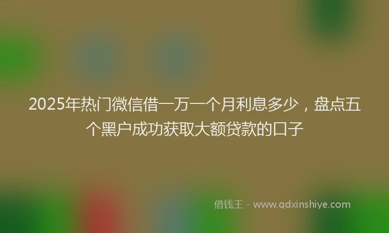 2025年热门微信借一万一个月利息多少，盘点五个黑户成功获取大额贷款的口子