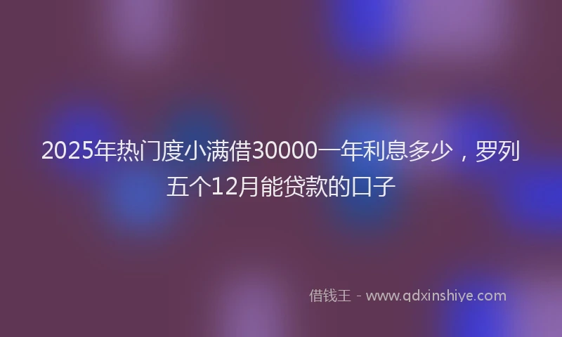 2025年热门度小满借30000一年利息多少，罗列五个12月能贷款的口子