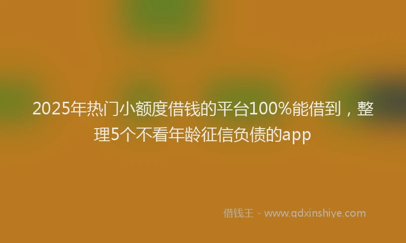 2025年热门小额度借钱的平台100%能借到，整理5个不看年龄征信负债的app