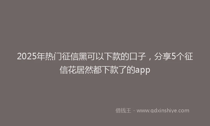 2025年热门征信黑可以下款的口子，分享5个征信花居然都下款了的app
