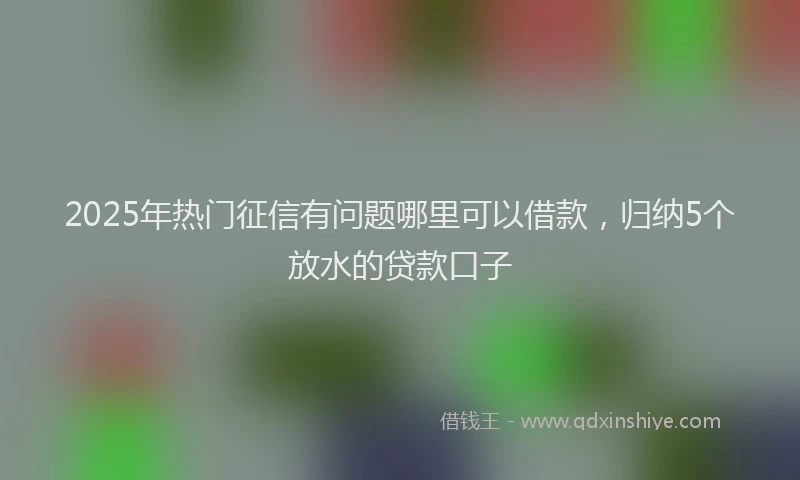 2025年热门征信有问题哪里可以借款，归纳5个放水的贷款口子
