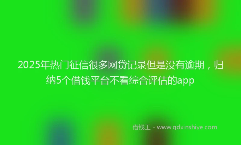 2025年热门征信很多网贷记录但是没有逾期，归纳5个借钱平台不看综合评估的app