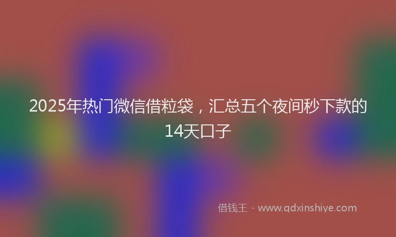 2025年热门微信借粒袋，汇总五个夜间秒下款的14天口子