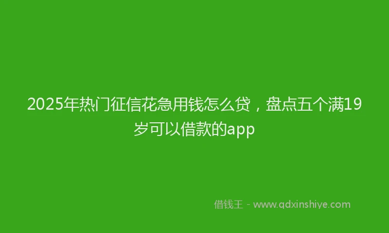 2025年热门征信花急用钱怎么贷，盘点五个满19岁可以借款的app